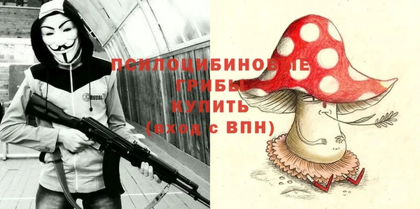 ГАЛЛЮЦИНОГЕННЫЕ ГРИБЫ Бронницы