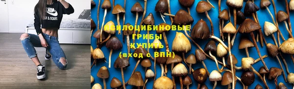 ГАЛЛЮЦИНОГЕННЫЕ ГРИБЫ Бронницы